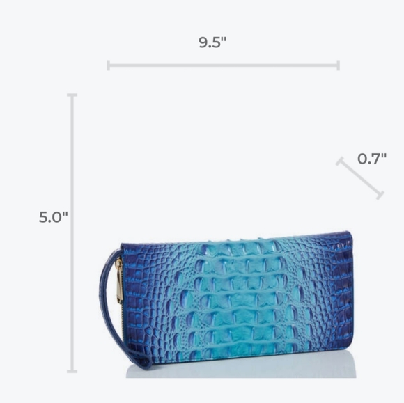 NWT Brahmin Affinity Ombre Melbourne Skyler Clutch - Picture 16 of 16